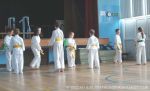 img_1200336951_478.jpg